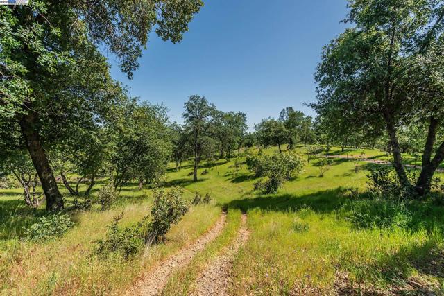 21679 Squaw Grass Trail, Redding CA: https://media.crmls.org/mediaz/4134bdaa-f741-404c-b9af-fba6fd148f3d.jpg