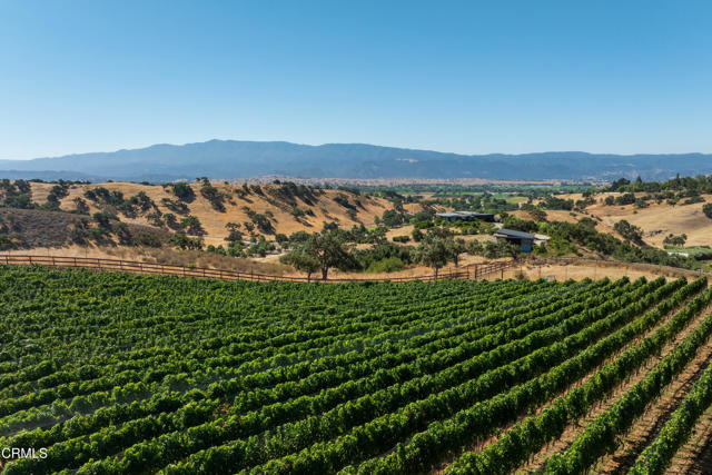 Detail Gallery Image 35 of 52 For 3001 Long Valley Rd, Santa Ynez,  CA 93460 - 6 Beds | 6/2 Baths