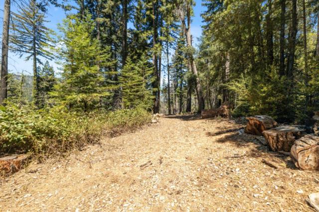 2472 Fanning Grade, Ben Lomond CA: https://media.crmls.org/mediaz/413d67fa-d965-4adb-be13-d90f63e91100.jpg