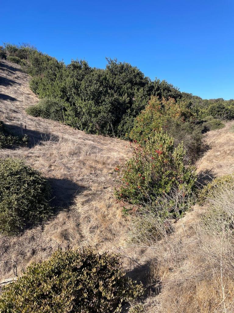 MLS #PTP2407091 image #15