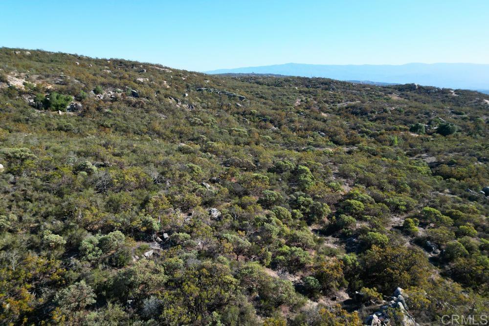 MLS #PTP2507282 image #41