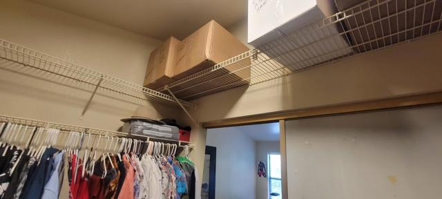 PRIMARY BEDROOM WALK IN CLOSET STORAGE