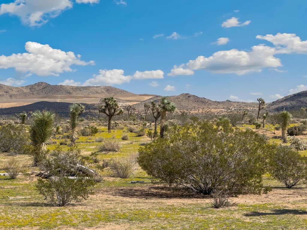 https://media.crmls.org/mediaz/41653579-1299-4bdf-ad97-b58fcf9c3d1c.jpg?preset=X-Large