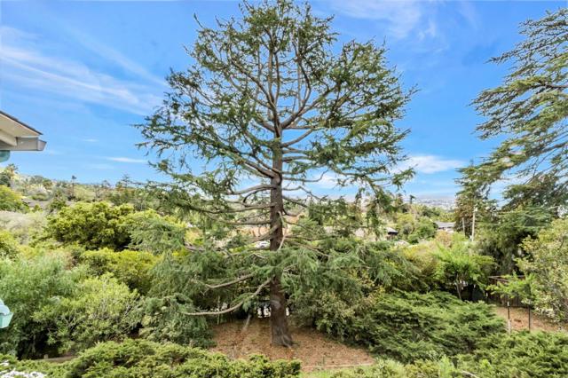 11020 Enchanto Vista Drive, San Jose CA: https://media.crmls.org/mediaz/416eacdc-eb64-4f80-b72d-2d353c55d17b.jpg