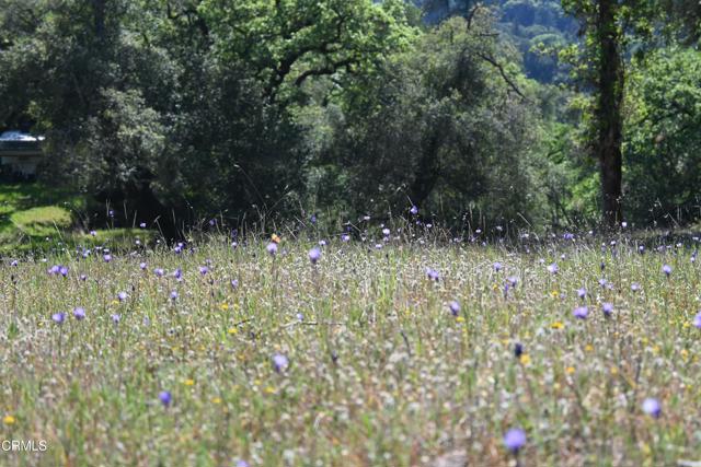 Detail Gallery Image 25 of 59 For 24051 Fig Tree Ln, Yorkville,  CA 95494 - – Beds | – Baths