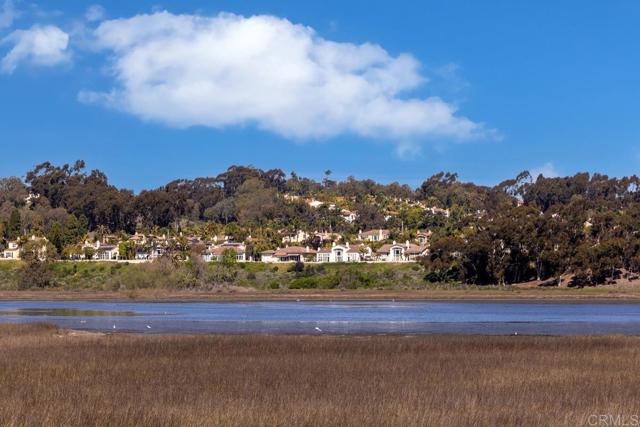 Detail Gallery Image 29 of 36 For 2586 Delphinium Ln, Carlsbad,  CA 92008 - 3 Beds | 2/2 Baths
