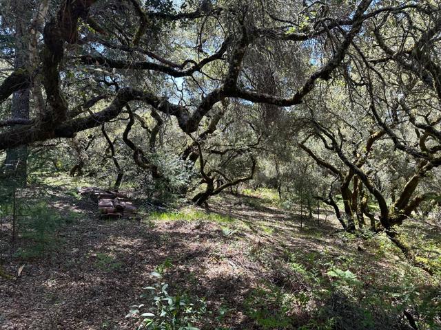 0 Hidden Glen Drive, Scotts Valley CA: https://media.crmls.org/mediaz/41758d33-5560-4559-8312-910082bd1e4d.jpg