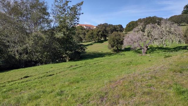 LOCATED IN THE LAGUNA SECA OFFICE PARK AMONGST THE OAK TREES 