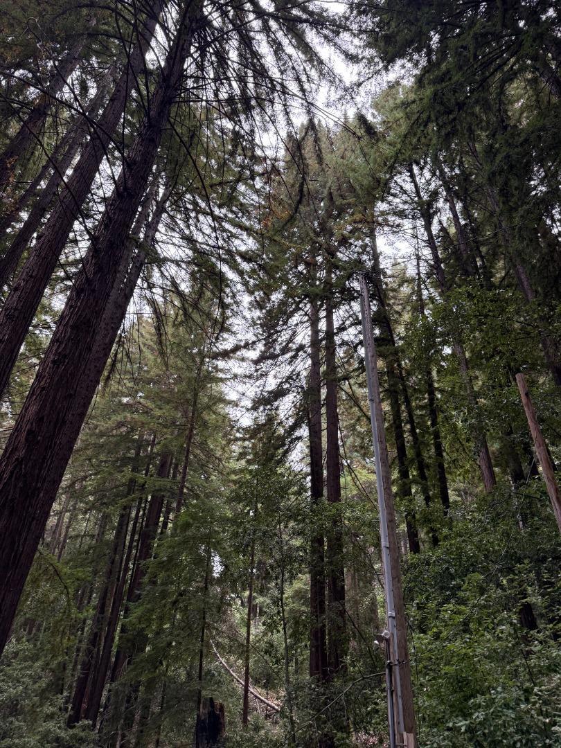 https://media.crmls.org/mediaz/417e4fcc-98df-4e7b-b2e9-1ad0a381793b.jpg?preset=X-Large