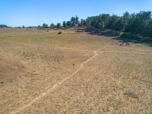 112 Holiday Drive, La Selva Beach CA: https://media.crmls.org/mediaz/4186a61d-3176-42fb-a0ce-0eb4ed716915.jpg