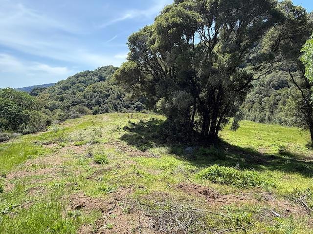 7175 Redwood Retreat Road, Gilroy CA: https://media.crmls.org/mediaz/418861be-177f-46dd-b26e-77e2d37b0afd.jpg