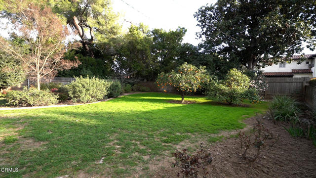 SanPasqual_BackYardStill_FullResx