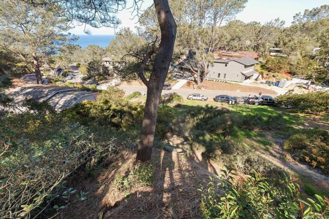 0 Hidden Pines Rd, Del Mar CA: https://media.crmls.org/mediaz/4190ddfd-5868-4044-88ae-91fca6504d8c.jpg