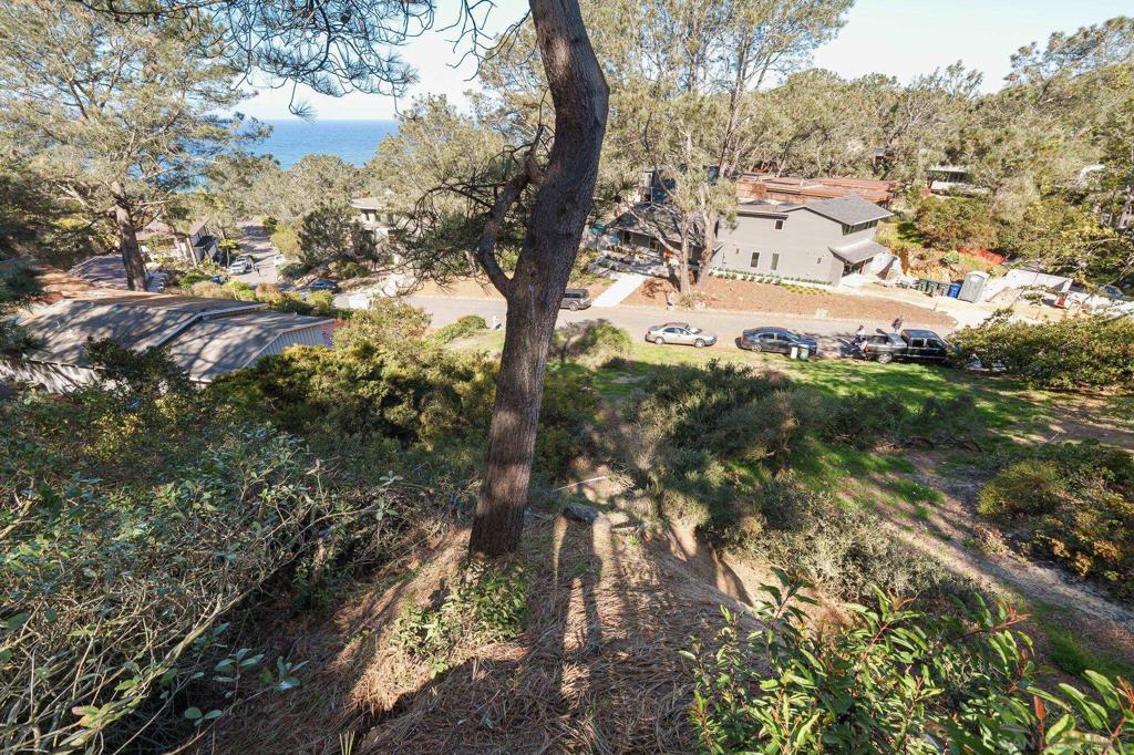 Hidden Pines Rd Del Mar - photo 15