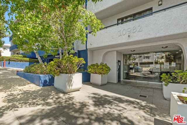 10982 Roebling Avenue, Los Angeles CA: https://media.crmls.org/mediaz/41914362-9cf6-4249-b0f8-f5816d71a19d.jpg