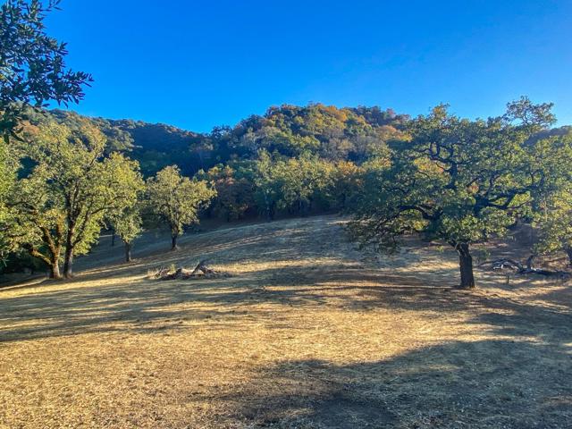 22 Arroyo Sequoia, Carmel CA: https://media.crmls.org/mediaz/41a696aa-a1b6-4cf6-bbf3-957134605d2e.jpg