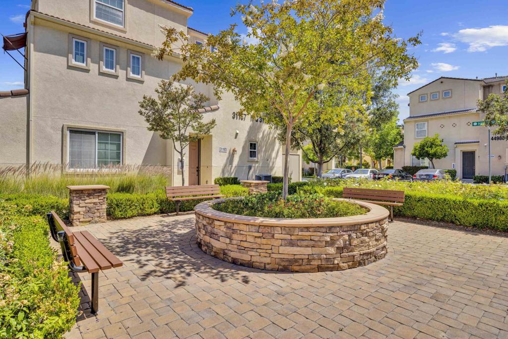 31163 Lavender Ct #204