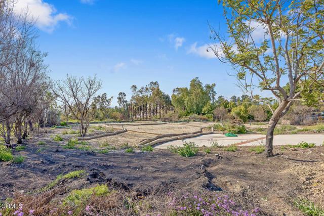 637 Valley Vista Drive, Camarillo CA: https://media.crmls.org/mediaz/41c7db36-8212-4e6d-a0c4-b730dbf4ab1f.jpg