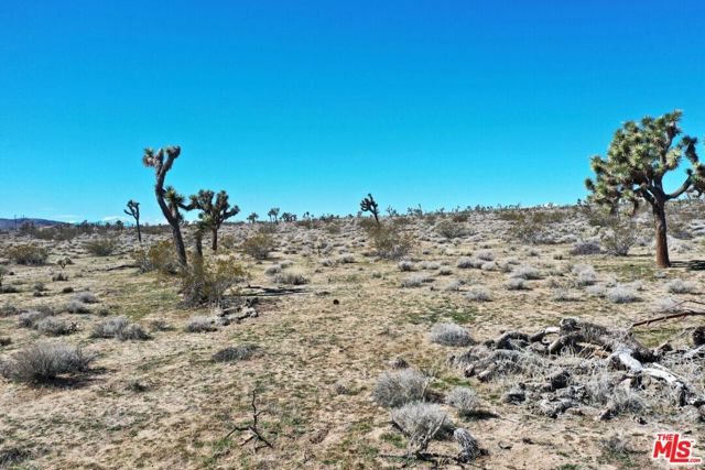 0 Rice Avenue, Joshua Tree CA: https://media.crmls.org/mediaz/41c8d6eb-568a-4055-b390-39e81af5372a.jpg