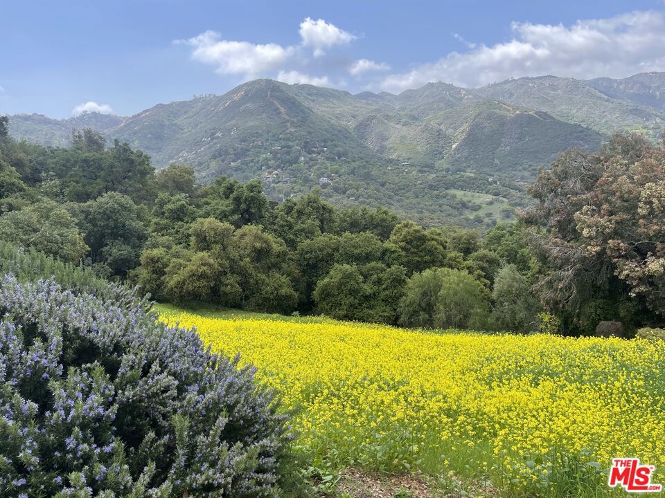 41C99B6F B55F 4546 9E94 7055270C080B 21227 Colina Drive, Topanga, Ca 90290 &Lt;Span Style='BackgroundColor:transparent;Padding:0Px;'&Gt; &Lt;Small&Gt; &Lt;I&Gt; &Lt;/I&Gt; &Lt;/Small&Gt;&Lt;/Span&Gt;