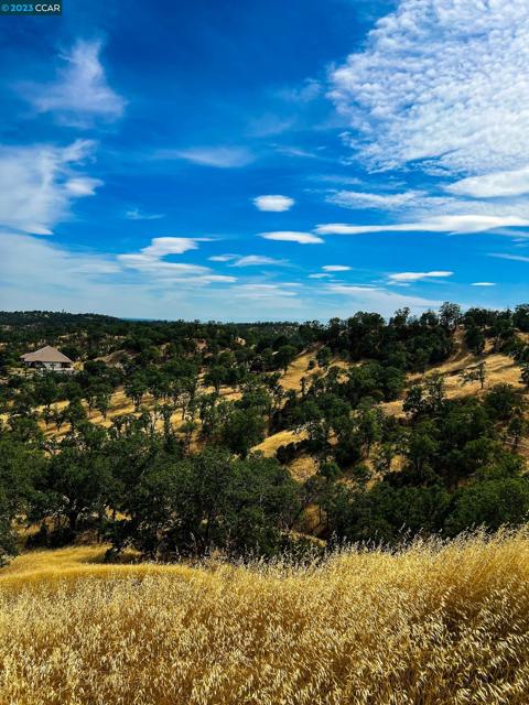 0 Lot 22 Rolling Oaks, Cottonwood CA: https://media.crmls.org/mediaz/41d1d2c8-2401-4e36-bbb1-c6895efc5a68.jpg