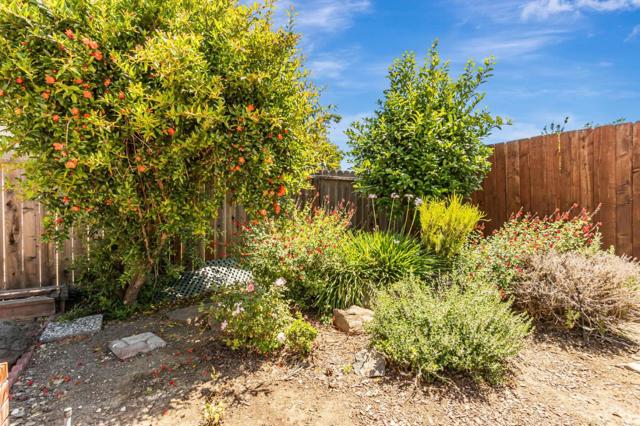 3030 Crater Lane, San Jose CA: https://media.crmls.org/mediaz/41d24fd0-29d0-4d83-9519-347b1f030a40.jpg
