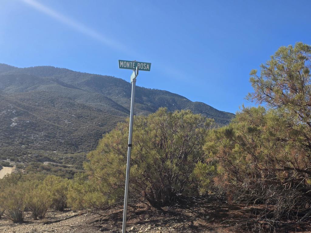 MLS #219138845DA image #3