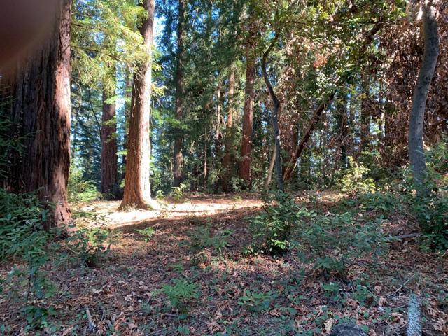 1 Santa Ana Road, Los Gatos CA: https://media.crmls.org/mediaz/41d9fcd8-93c6-4cd0-8fde-b642fa169034.jpg