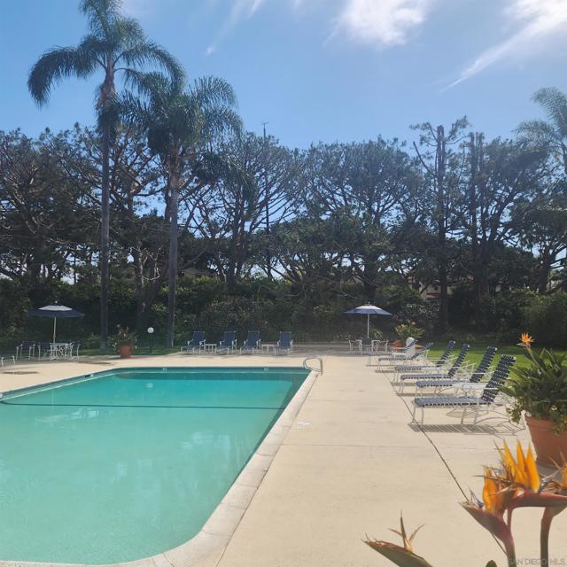 Image 14 of 25 For 4050 Porte De Palmas  26