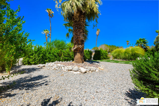 2405 Francis Drive, Palm Springs, California 92262, 3 Bedrooms Bedrooms, ,Single Family Residence,For Sale,Francis,24429179