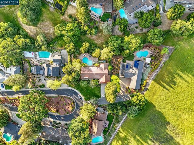 1804 Piedras Circle, Alamo CA: https://media.crmls.org/mediaz/42019092-884c-4cc5-af73-23a14f8aa2dd.jpg