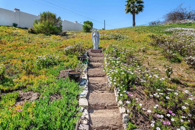 328 Killdeer, Oceanside CA: https://media.crmls.org/mediaz/420c94ce-4164-4f97-acee-80cd49d573fe.jpg