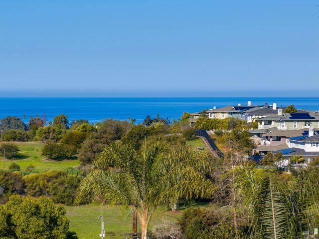 623 Quail Gardens Lane, Encinitas CA: https://media.crmls.org/mediaz/420cfed6-e2fc-4eac-babc-8ad8bbd71813.jpg