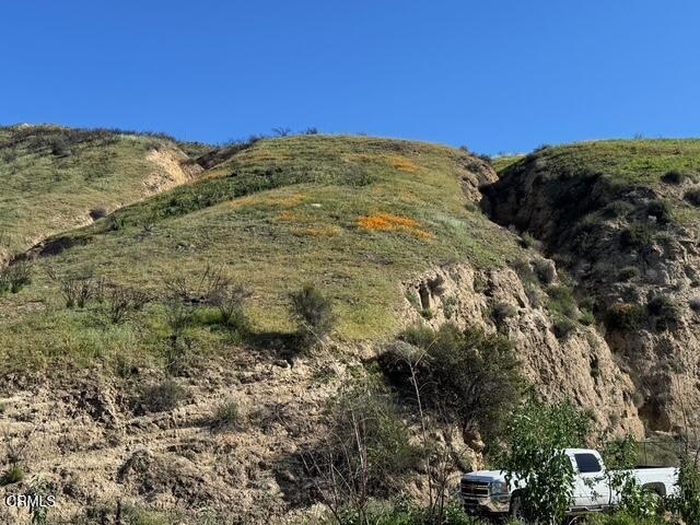 Detail Gallery Image 8 of 27 For 31029 Hasley Canyon Rd, Castaic,  CA 91384 - – Beds | – Baths