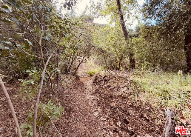 0 Red Rock Road photo 49