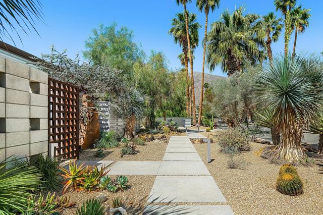 1175 E Cactus Road, Palm Springs CA: https://media.crmls.org/mediaz/421ab164-9688-4ff1-8e58-f7240dcd8abe.jpg