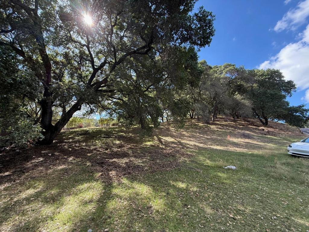 MLS #ML82024668 image #7