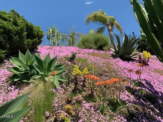 Detail Gallery Image 25 of 26 For 520 E Highland Dr, Camarillo,  CA 93010 - – Beds | – Baths