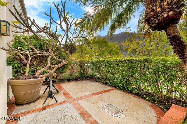 Rear patio w/ Plumeria tree