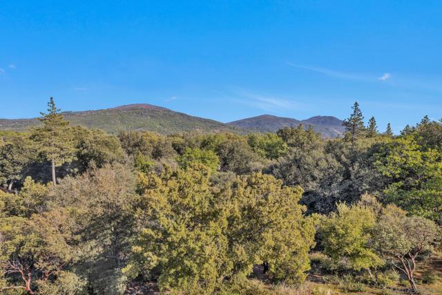 4667 Luneta View Rd, Julian CA: https://media.crmls.org/mediaz/421fd789-50fe-4ced-8fb7-34729c5a513f.jpg