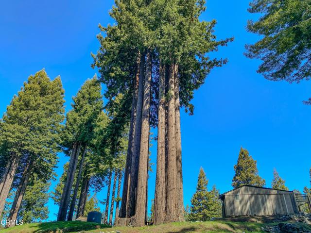 15137 Mitchell Creek Drive, Fort Bragg CA: https://media.crmls.org/mediaz/42372789-ec22-43bd-aade-95f1c0ed03f3.jpg