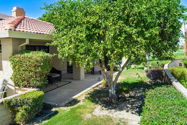 4 Maximo Way, Palm Desert CA: https://media.crmls.org/mediaz/4246e3c9-4871-41ad-baf6-7f1c765c32be.jpg