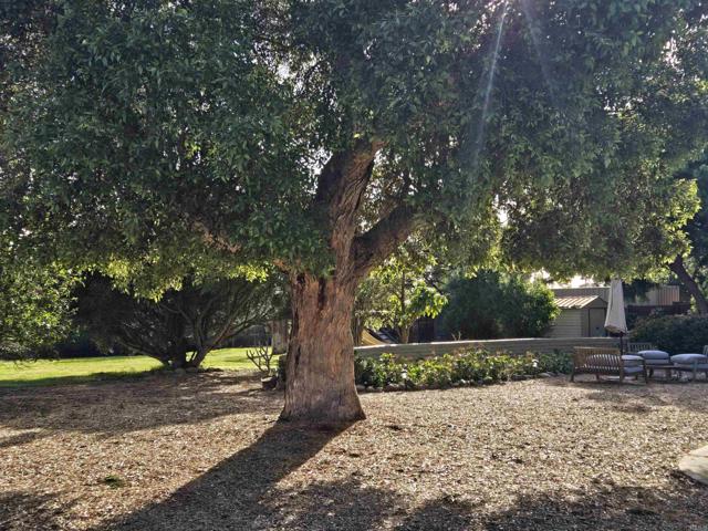 Detail Gallery Image 63 of 65 For 2205 Leon Ave, San Diego,  CA 92154 - 3 Beds | 2 Baths