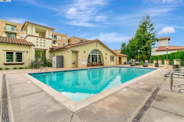 Community pool