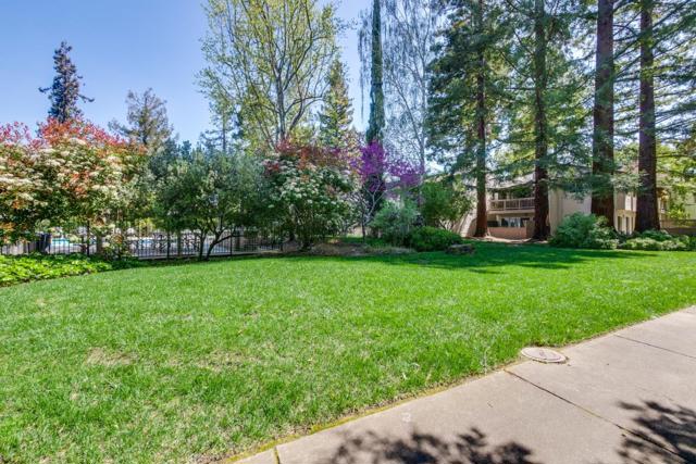 19816 Vineyard Lane, Saratoga CA: https://media.crmls.org/mediaz/4253cef7-f868-493b-8a53-34c0a6f0f875.jpg