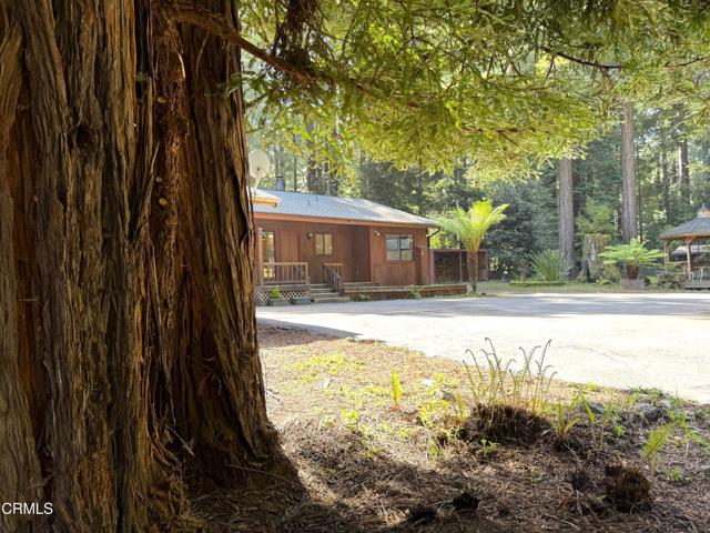 Detail Gallery Image 4 of 44 For 12141 Pinewood Rd, Mendocino,  CA 95460 - 3 Beds | 2 Baths