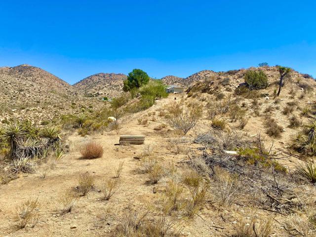 120 Benmar Trail, Morongo Valley CA: https://media.crmls.org/mediaz/425f9268-9ce5-402a-9e89-ceaf82252604.jpg