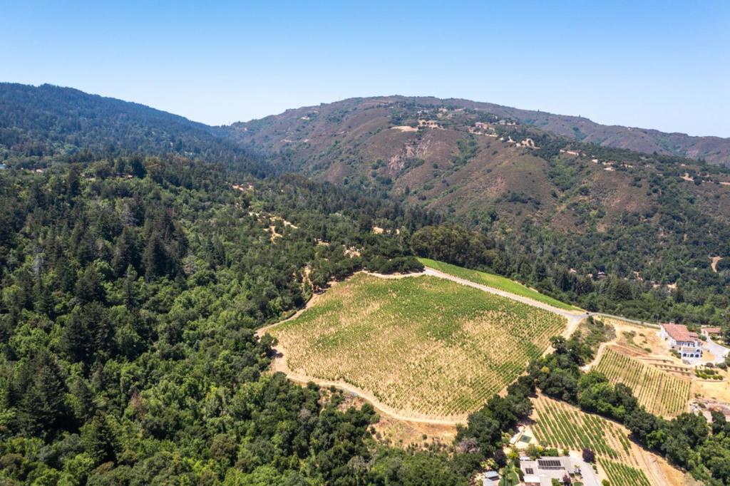 MLS #ML82023193 image #12