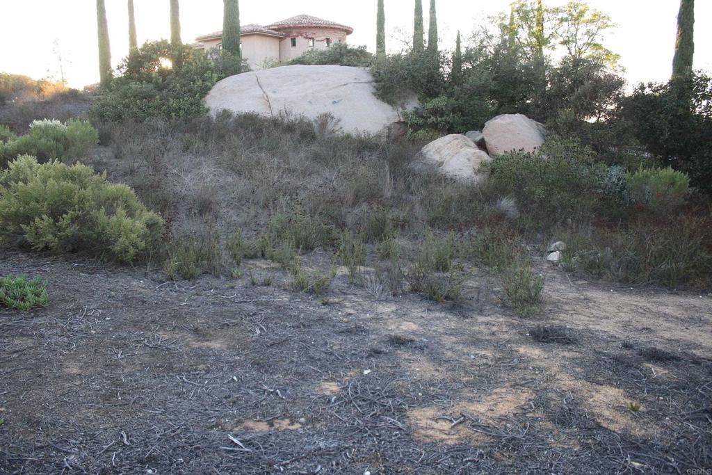 MLS #NDP2510463 image #13