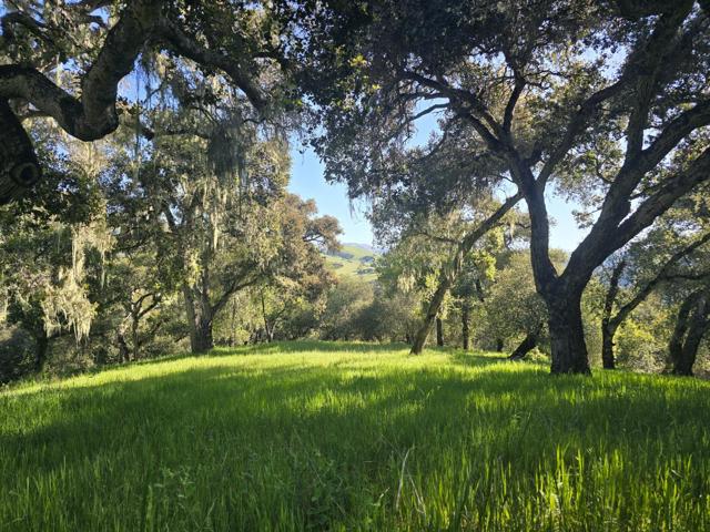 16 SLEEPY HOLLOW DRIVE, Carmel Valley CA: https://media.crmls.org/mediaz/4272409a-5449-49d9-b172-b1f6020f6fa0.jpg